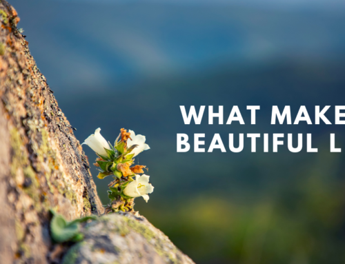 What Makes a Beautiful Life? Discover the Pillars of True Fulfillment